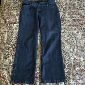 Lee Dark Blue Flare Wide-Leg Jeans